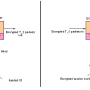 biss006.jpg
